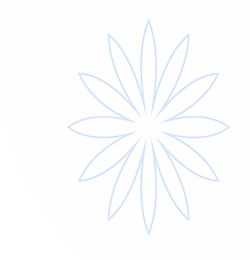 欢迎来到飞鱼加速器官網｜飞鱼加速器